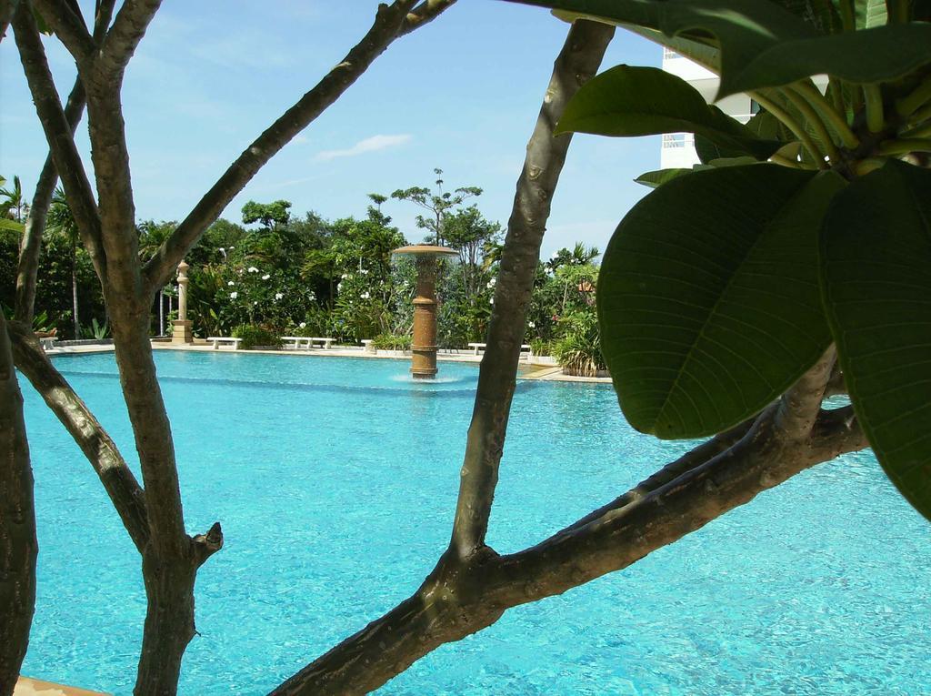 View Talay 5 At Nong Apartment Pattaya